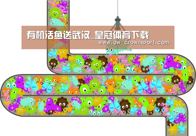 皇冠入口