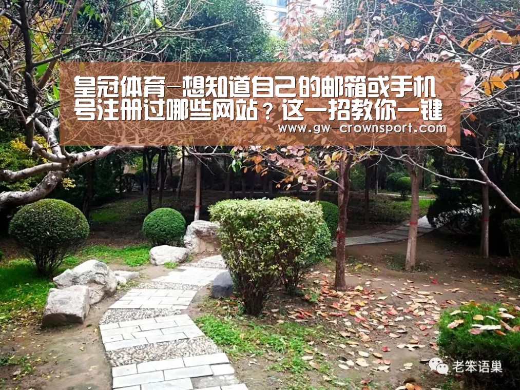 皇冠体育-想知道自己的邮箱或手机号注册过哪些网站?这一招教你一键查询(图3) 皇冠体育下载