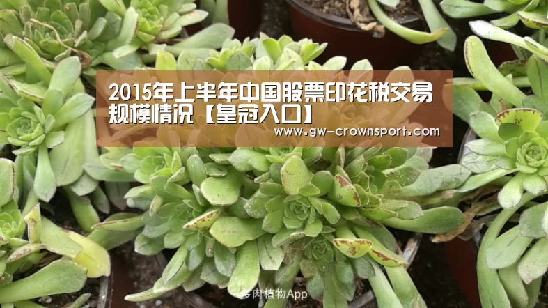 2015年上半年中国股票印花税交易规模情况【皇冠入口】(图4) 皇冠官网