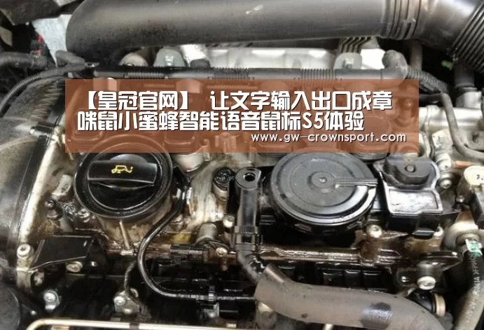 皇冠入口