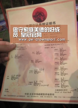 做守家庭美德的好成员_皇冠官网(图3) 皇冠入口