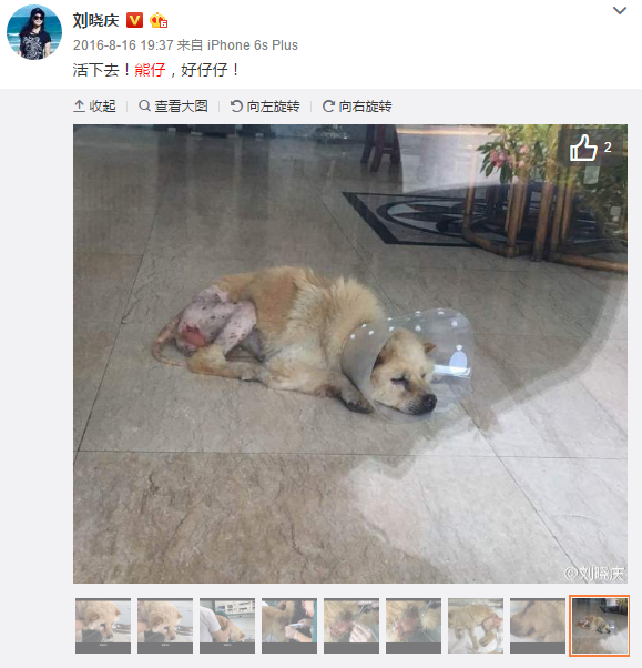 皇冠体育