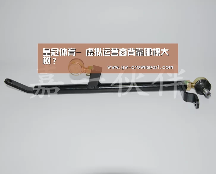皇冠体育-
虚拟运营商背靠哪棵大树?(图3) 皇冠体育