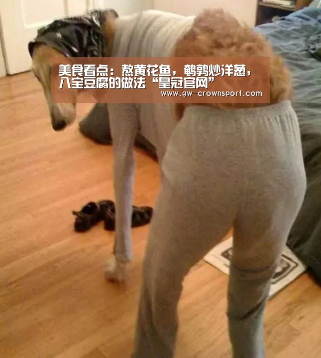 美食看点:熬黄花鱼,鹌鹑炒洋葱,八宝豆腐的做法“皇冠官网”(图2) 皇冠官网